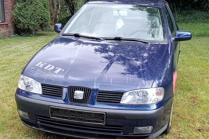 Seat Ibiza 154.000 km 1.300 € Holzdorf 24364