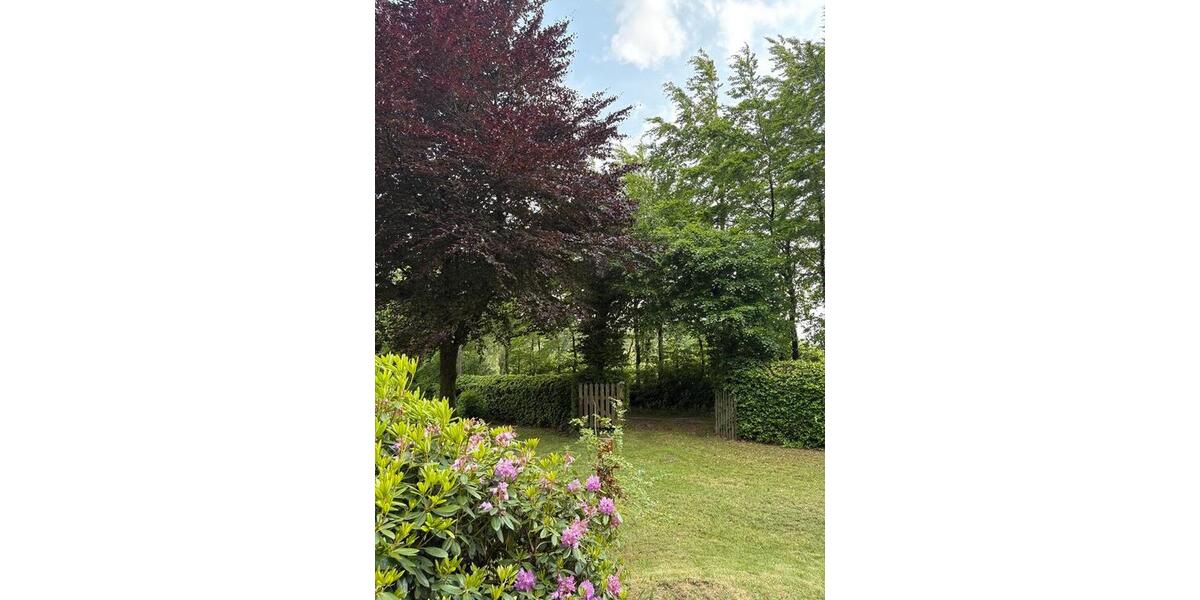 Einfamilienhaus Monschau - 4 Zimmer, 68 m&sup2;, 221.000&euro; | Angebot:26339811