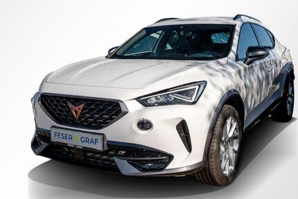 Cupra Formentor 40.163 km 25.480 &euro; Magdeburg 39118