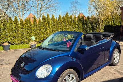 VW New Beetle 228.000 km 4.500 &euro; Reinsbüttel 25764