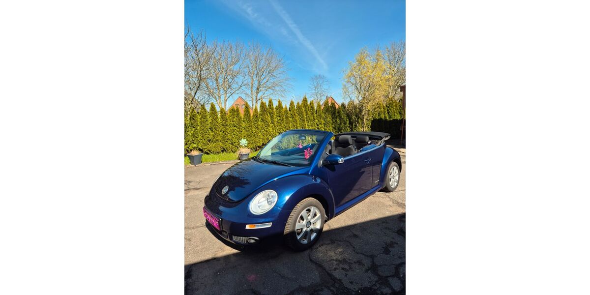 VW New Beetle 228.000 km 4.500 &euro; Reinsbüttel 25764