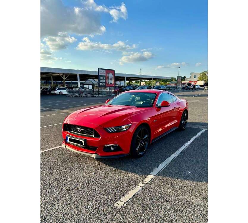 Mustang