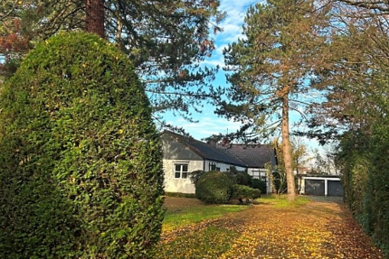 Gewerbeobjekt Frankenthal - 1.200.000&euro; | Angebot:25879558