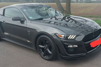 Ford Mustang 69.000 km 27.000 &euro; Gehrde 49596