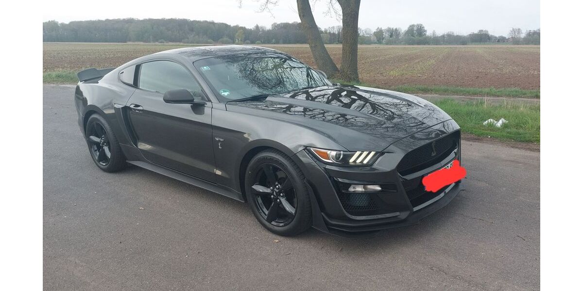 Ford Mustang 69.000 km 27.000 &euro; Gehrde 49596