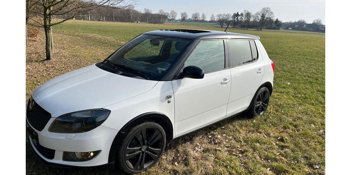 Skoda Fabia 173.000 km 5.700 &euro; Soltau 29614