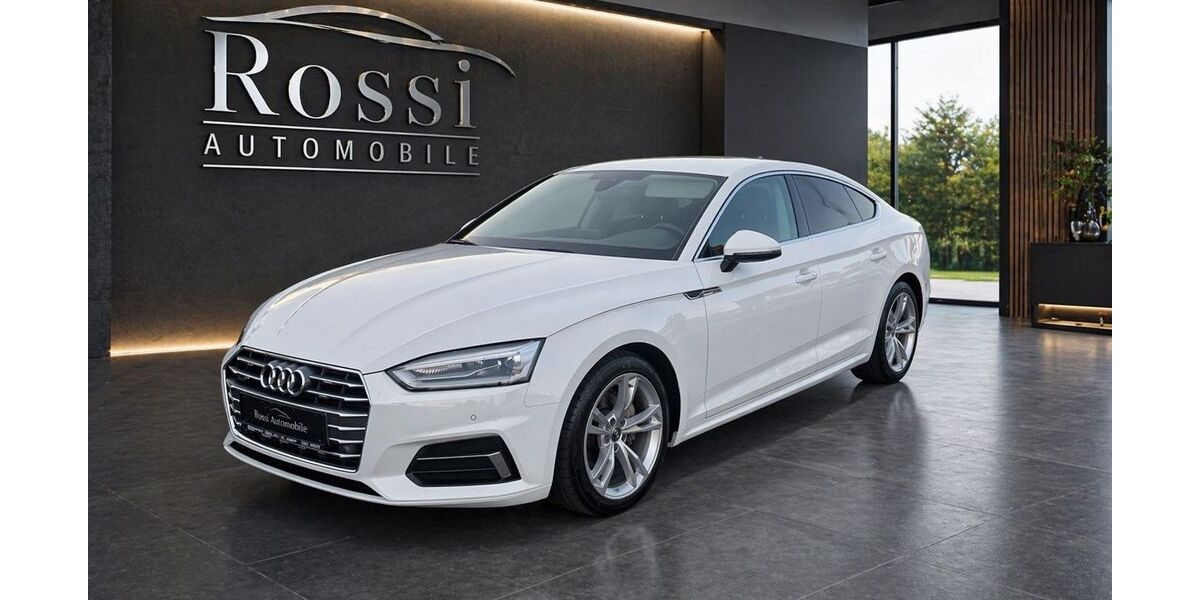 Audi A5 173.500 km 19.650 &euro; Heilbronn 74072