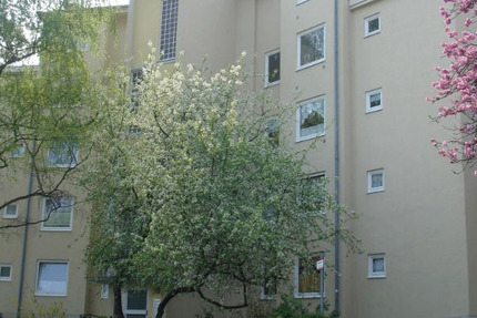 Wohnung Kassel Süd - 3 Zimmer, 66 m&sup2;, 580&euro; | Angebot:25566904