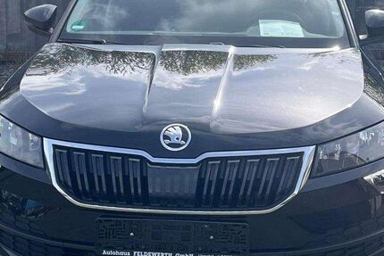 Skoda Karoq 136.400 km 16.900 &euro; Lippetal-Herzfeld 59510