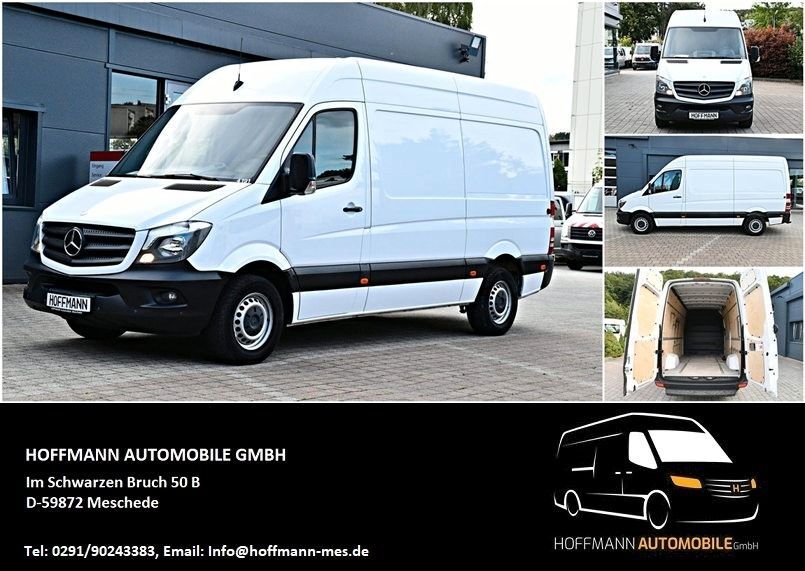 Sprinter