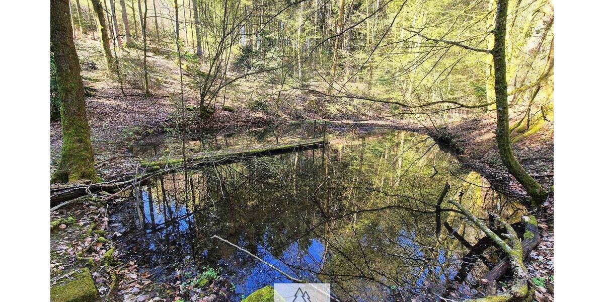 Grundstück Mainhardt Ammertsweiler - 34.900&euro; | Angebot:26798338
