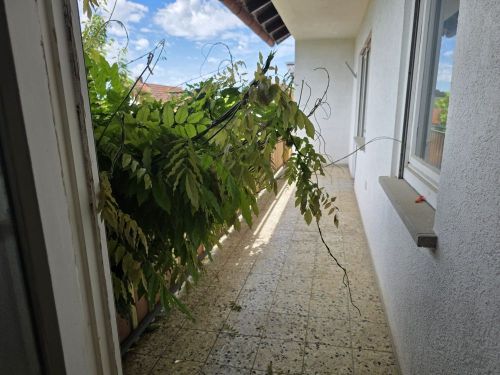 Einfamilienhaus mit Einliegerwohnung in 97222 Rimpar-Gramschatz (ID 10587) 7 zimmer