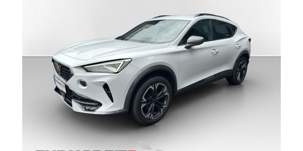 Cupra Formentor 12.375 km 27.990 &euro; Eisfeld 98673