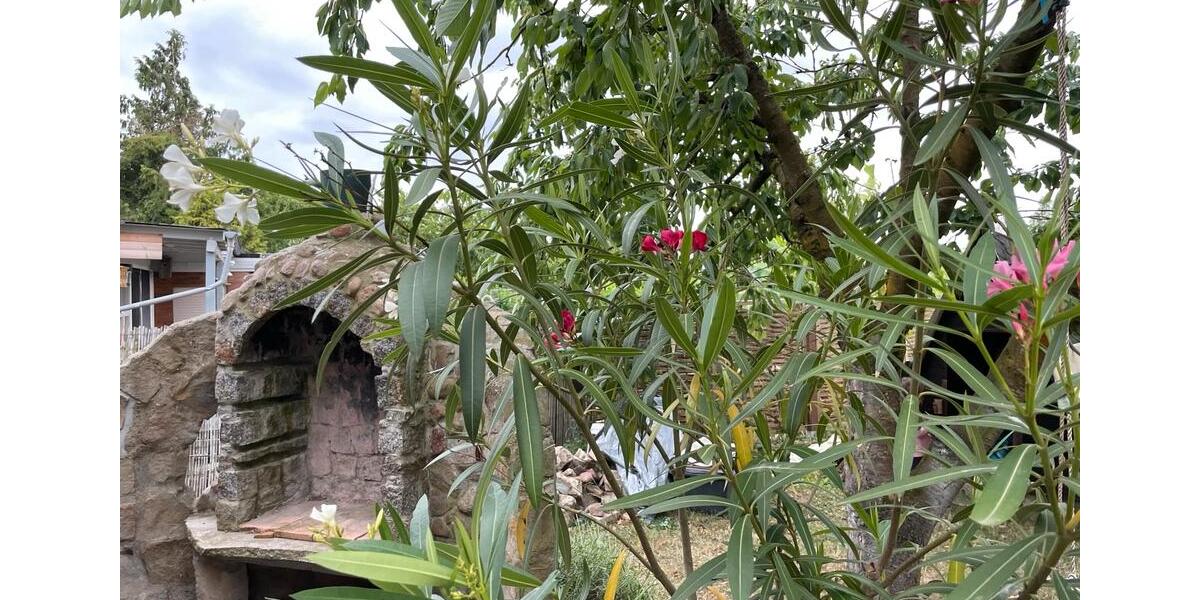 Einfamilienhaus Tangermünde - 1 Zimmer, 20 m&sup2;, 10.500&euro; | Angebot:26048963