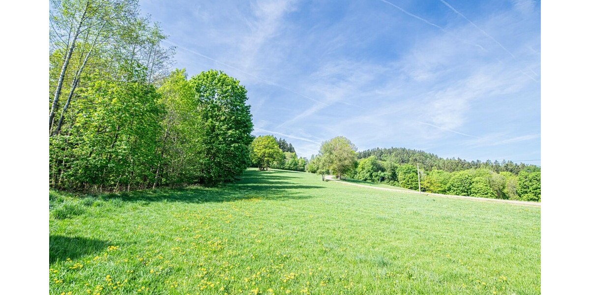 Einzigartiges Anwesen in absoluter Alleinlage – Natur, Freiheit und vielfältige Möglichkeiten - Einfamilienhaus Falkenstein | Angebot:26855936