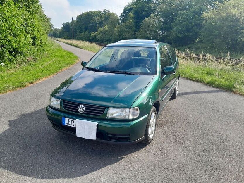 Polo