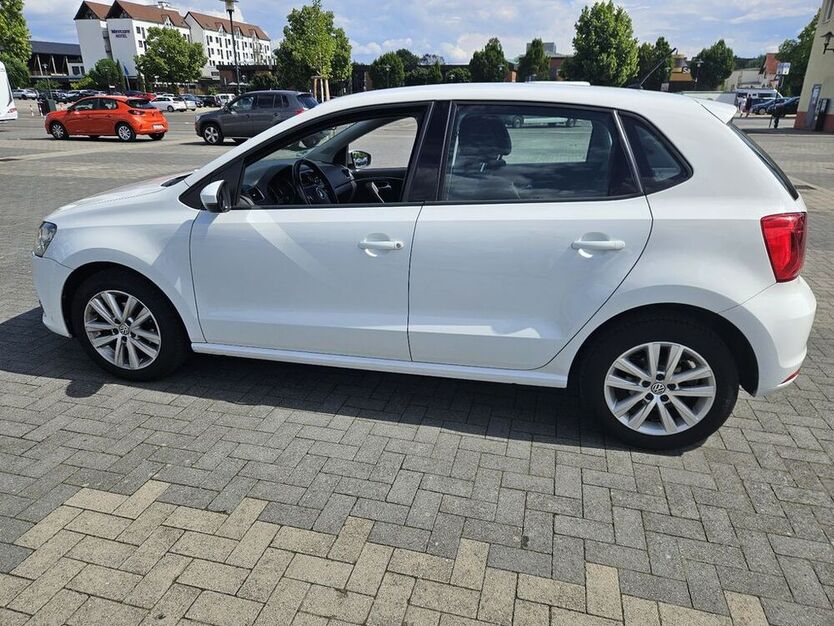 Polo