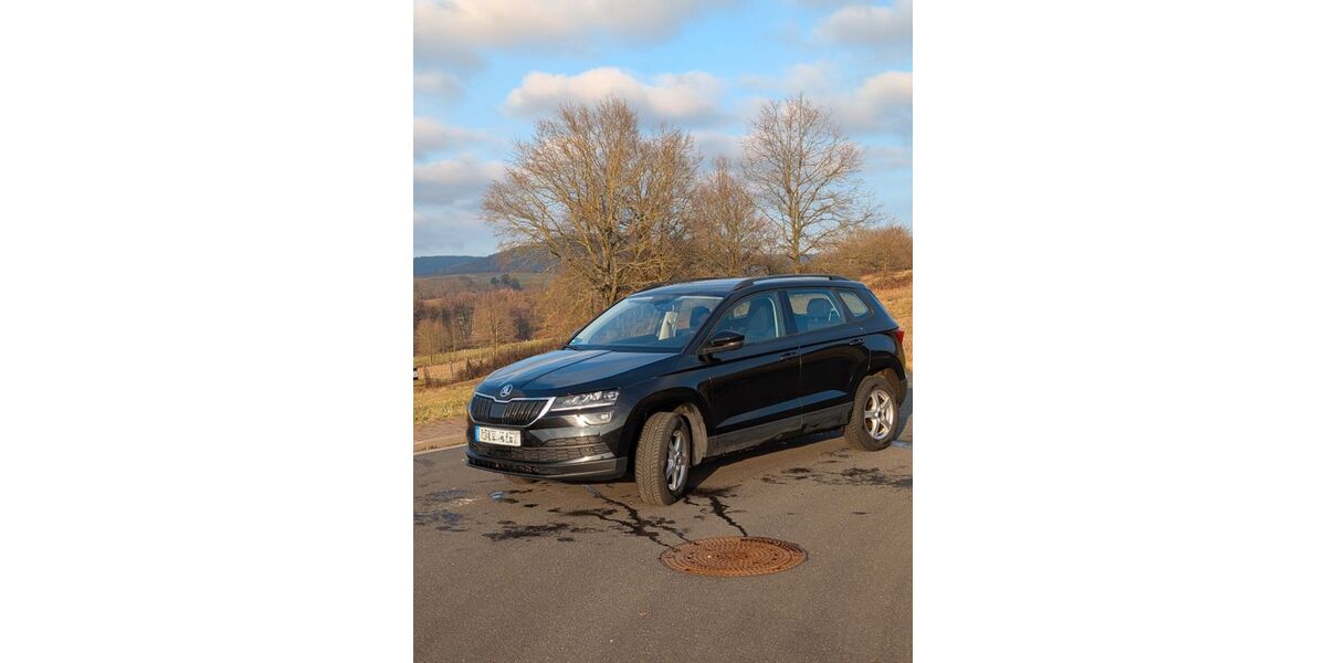 Skoda Karoq 126.146 km 16.999 &euro; Kleinkahl 63828