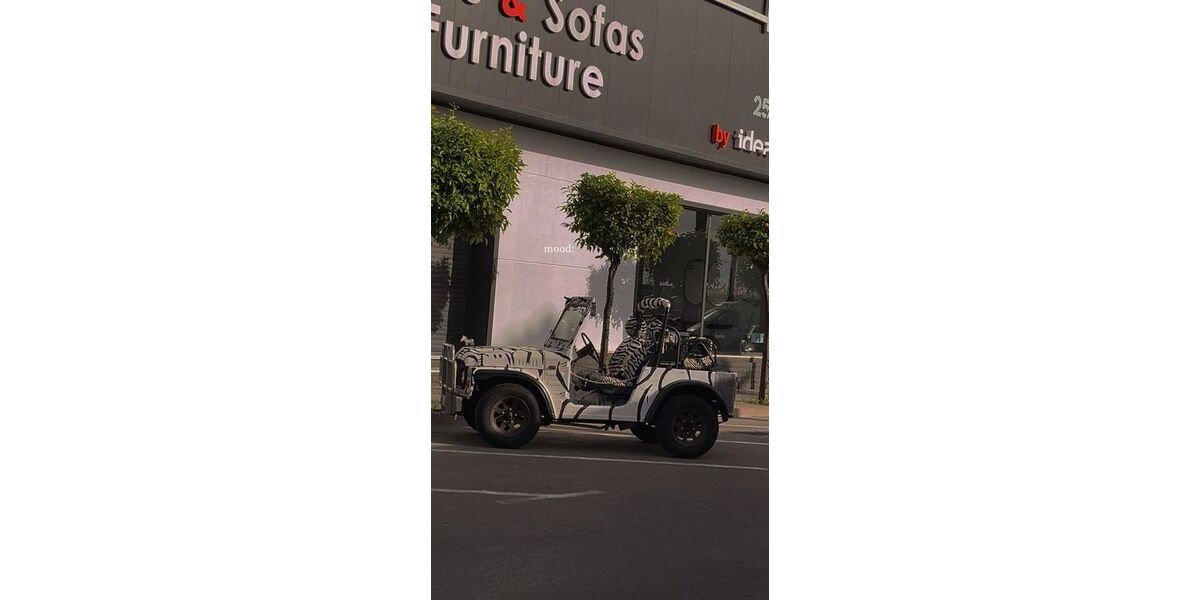 Suzuki LJ 94.000 km 4.490 &euro; mühbrook 24582