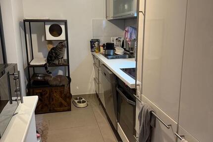 5 Zimmerwohnung EG freien 1 Januar mit Garten+ Terrasse 5 zimmer