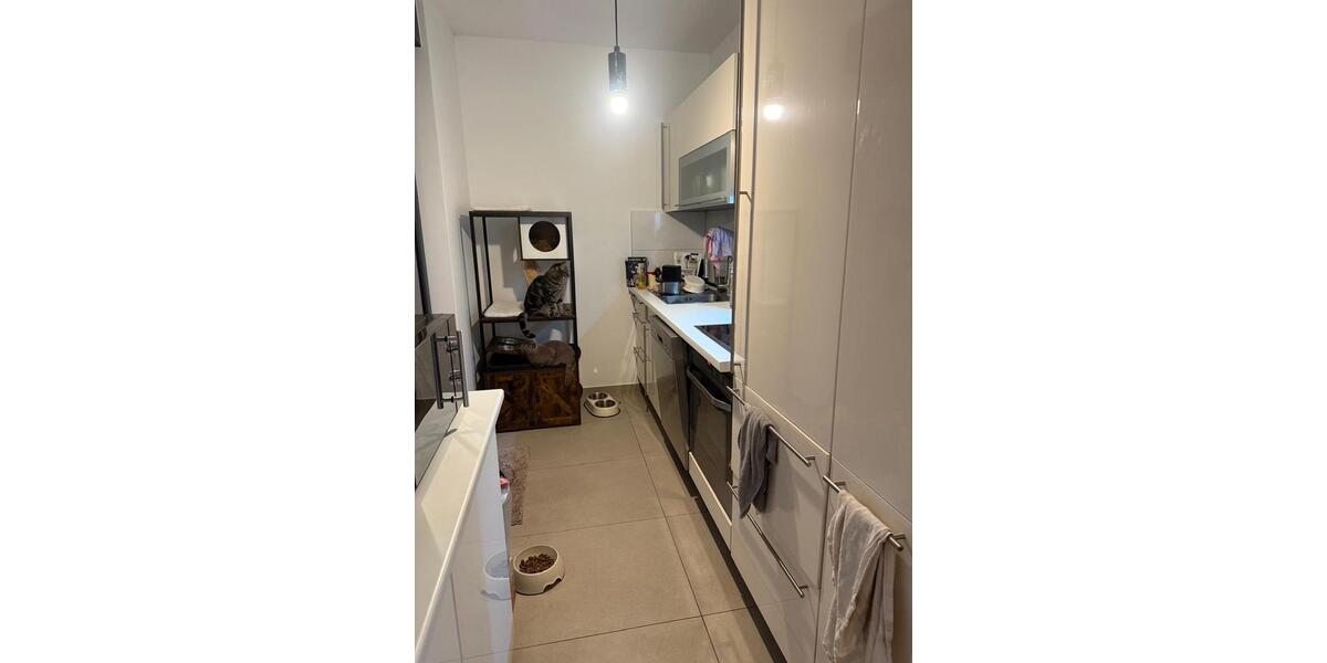 5 Zimmerwohnung EG freien 1 Januar mit Garten+ Terrasse 5 zimmer