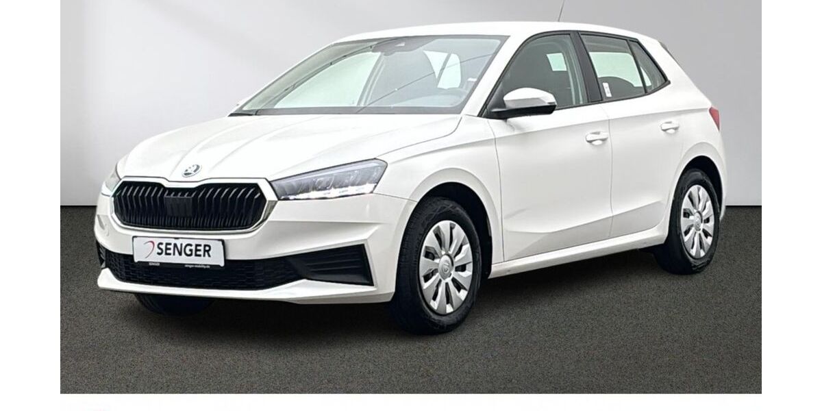 Skoda Fabia 27.907 km 18.880 &euro; Emsdetten 48282