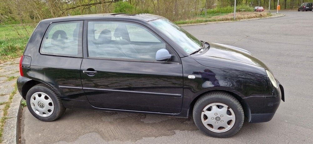 Lupo