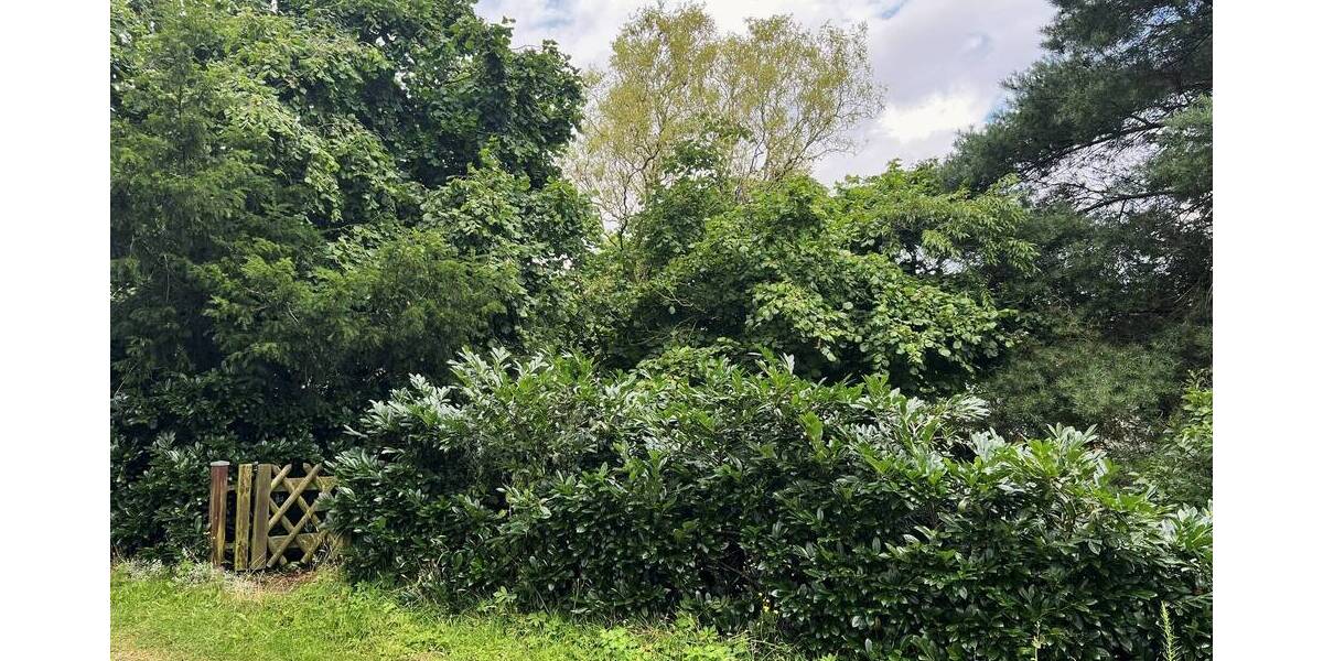 Mehrfamilienhaus, Wohnhaus Seehof - 5 Zimmer, 81 m&sup2;, 263.500&euro; | Angebot:19289756