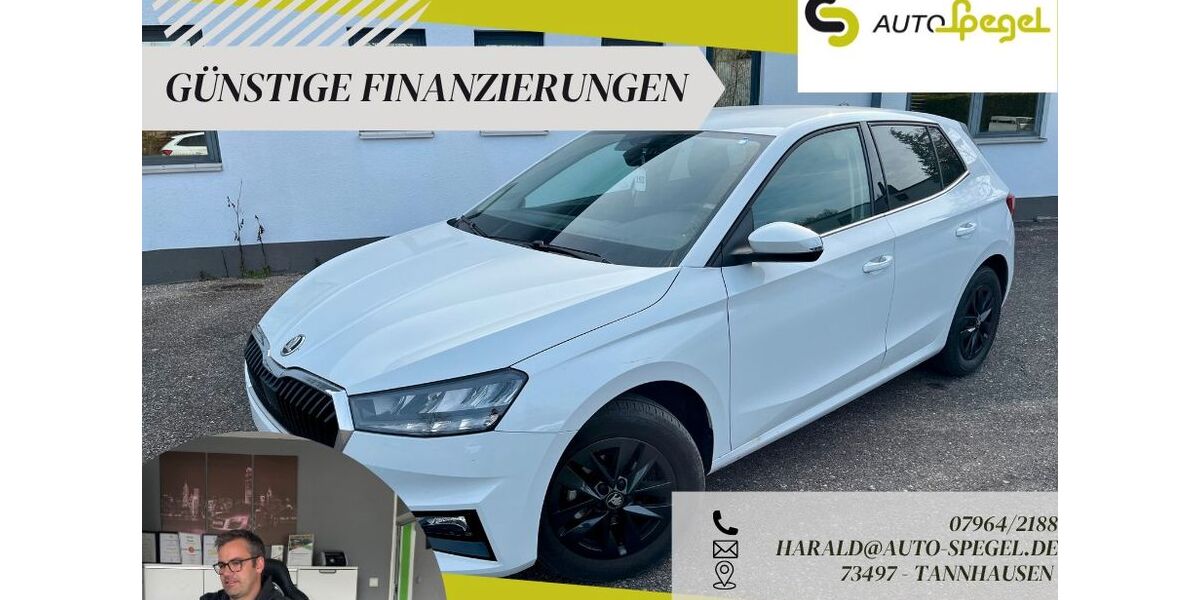 Skoda Fabia 21.323 km 16.390 &euro; Tannhausen 73497
