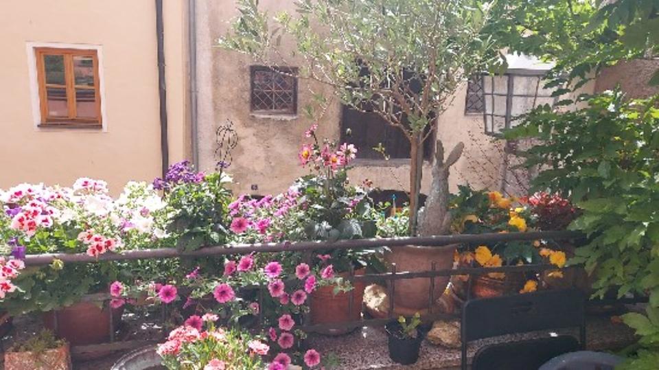 Etagenwohnung Wasserburg am Inn - 2 Zimmer, 61 m&sup2;, 850&euro; | Angebot:25397729