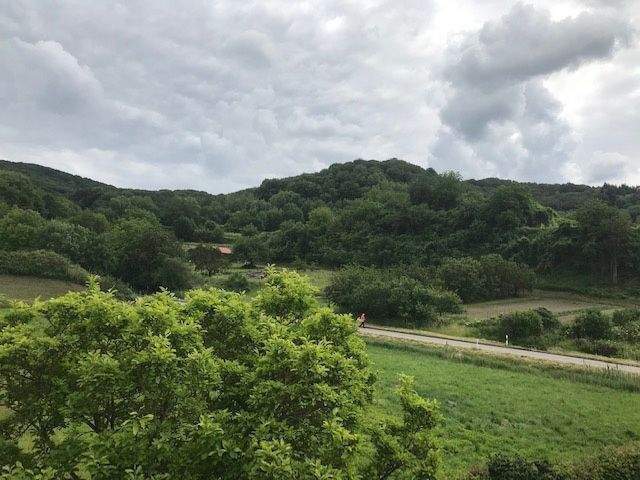 Etagenwohnung Endingen Kiechlinsbergen - 2 Zimmer, 67 m&sup2;, 715&euro; | Angebot:25600979