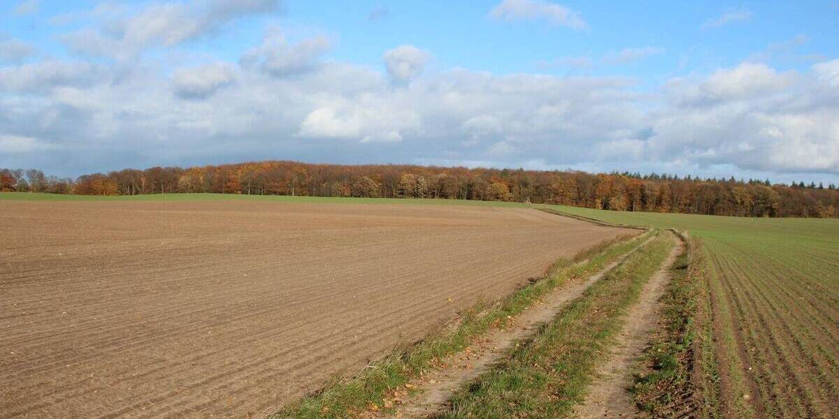 Grundstück Zirchow - 92.285&euro; | Angebot:25746422