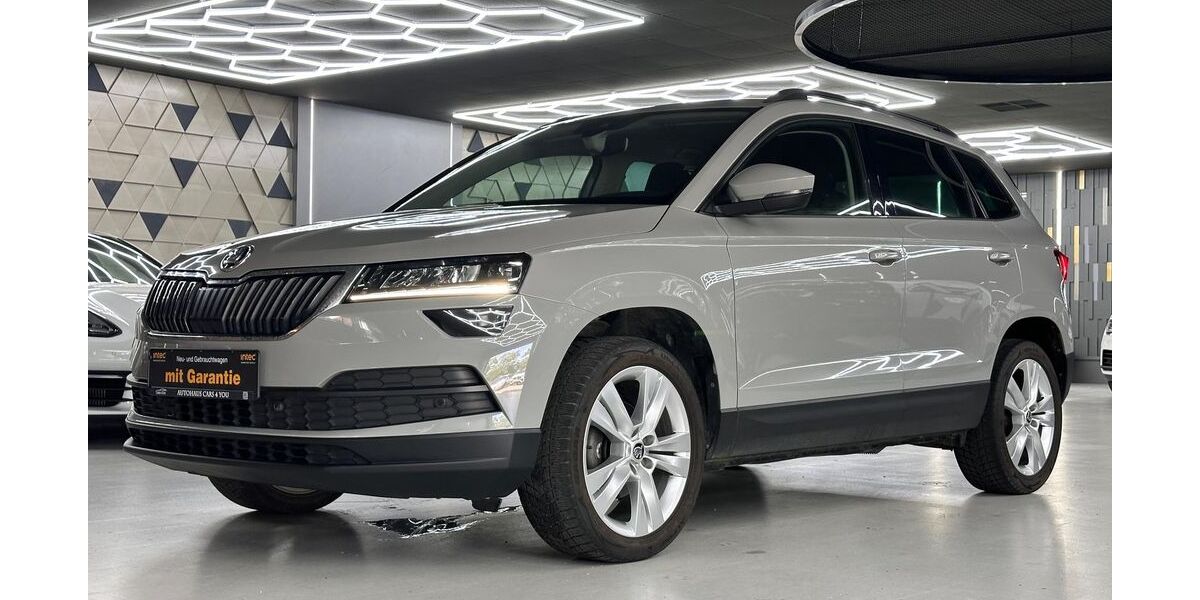 Skoda Karoq 183.000 km 13.990 &euro; Peine 31226