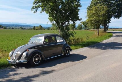 VW Käfer 2.000 km 14.500 &euro; Adelshofen 82276