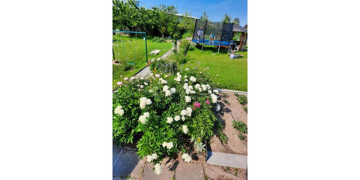 Grundstück Mühlhausen (Thüringen) - 1.500&euro; | Angebot:25298990