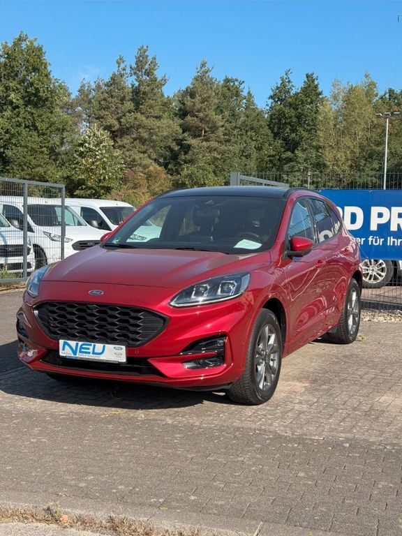 Kuga