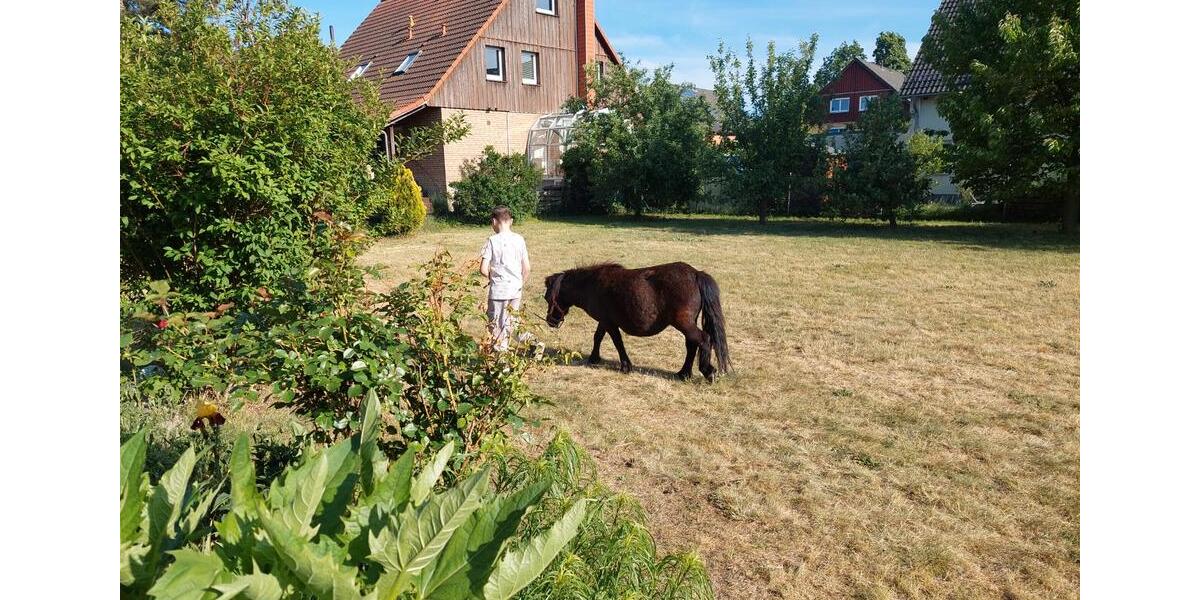 Grundstück Berlin Pankow - 1.098&euro; | Angebot:26555287