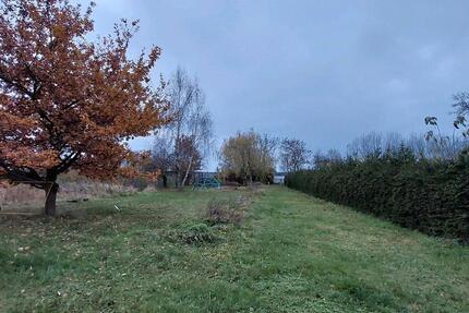 Einfamilienhaus in Steinhöfel für Hobby Handwerker 5 zimmer