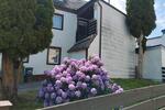 Einfamilienhaus Naila - 2 Zimmer, 110 m&sup2;, 99.000&euro; | Angebot:26777159