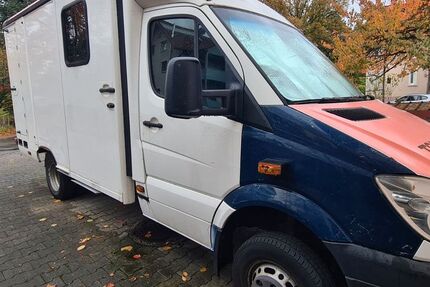 Mercedes-Benz Sprinter 280.000 km 19.500 € Lindau 88131