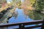 Großbreitenbach-OT, 3 Fam.Hs. + Gewerbe - Mehrfamilienhaus, Wohnhaus Großbreitenbach Gillersdorf | Angebot:25805794