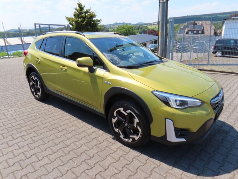 XV
