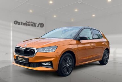 Skoda Fabia 18.730 km 17.790 € Hofgeismar 34369