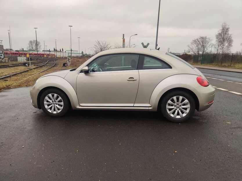 Beetle