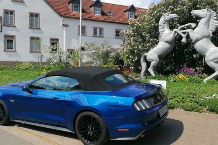 Ford Mustang 13.000 km 44.444 &euro; Kerzenheim 67304