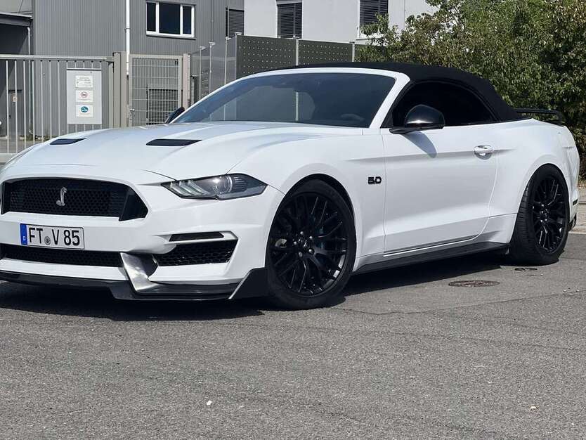 Mustang
