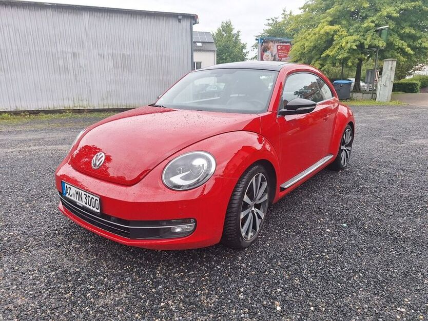 Beetle