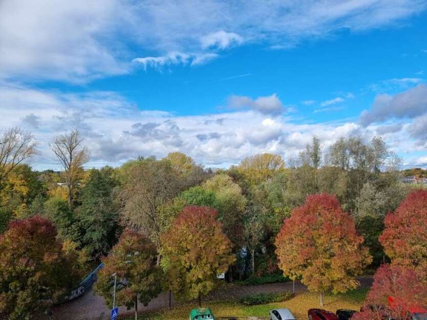 Wohnung zum Kaufen in Fürth 240.000 € 64.3 m² 2 zimmer