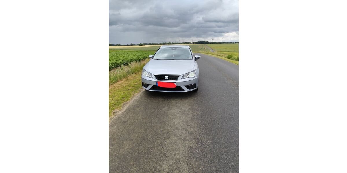 Seat Leon 95.000 km 15.000 &euro; Borrentin 17111