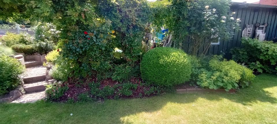 Einfamilienhaus Dassow - 450.000&euro; | Angebot:26858124